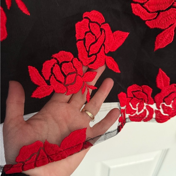 Embroidered Red Roses Dress - Picture 5 of 11